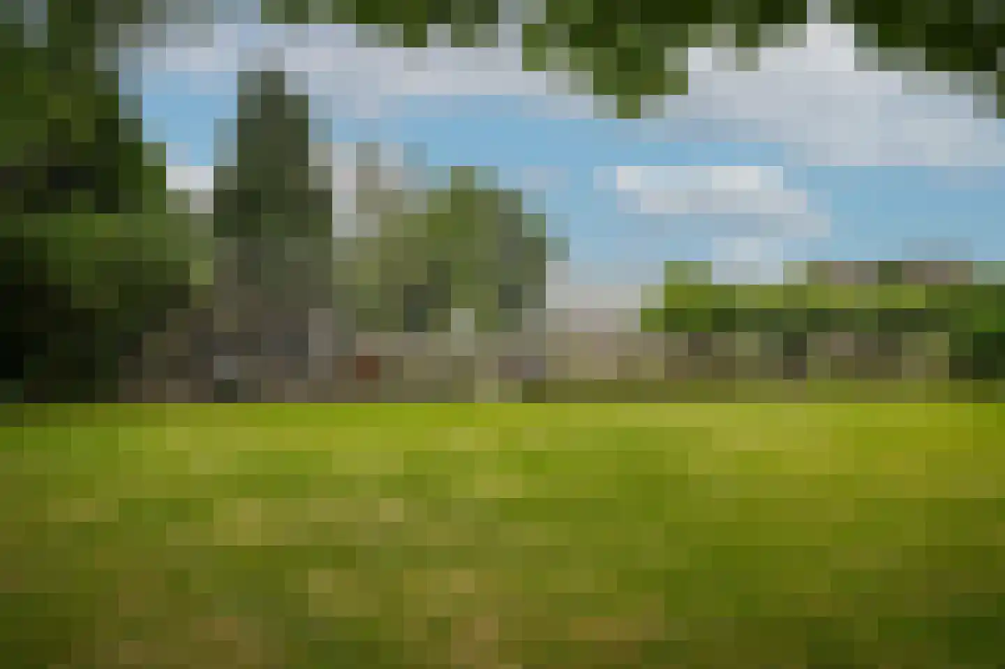 Maasdijk 42 Appeltern thumbnail 62
