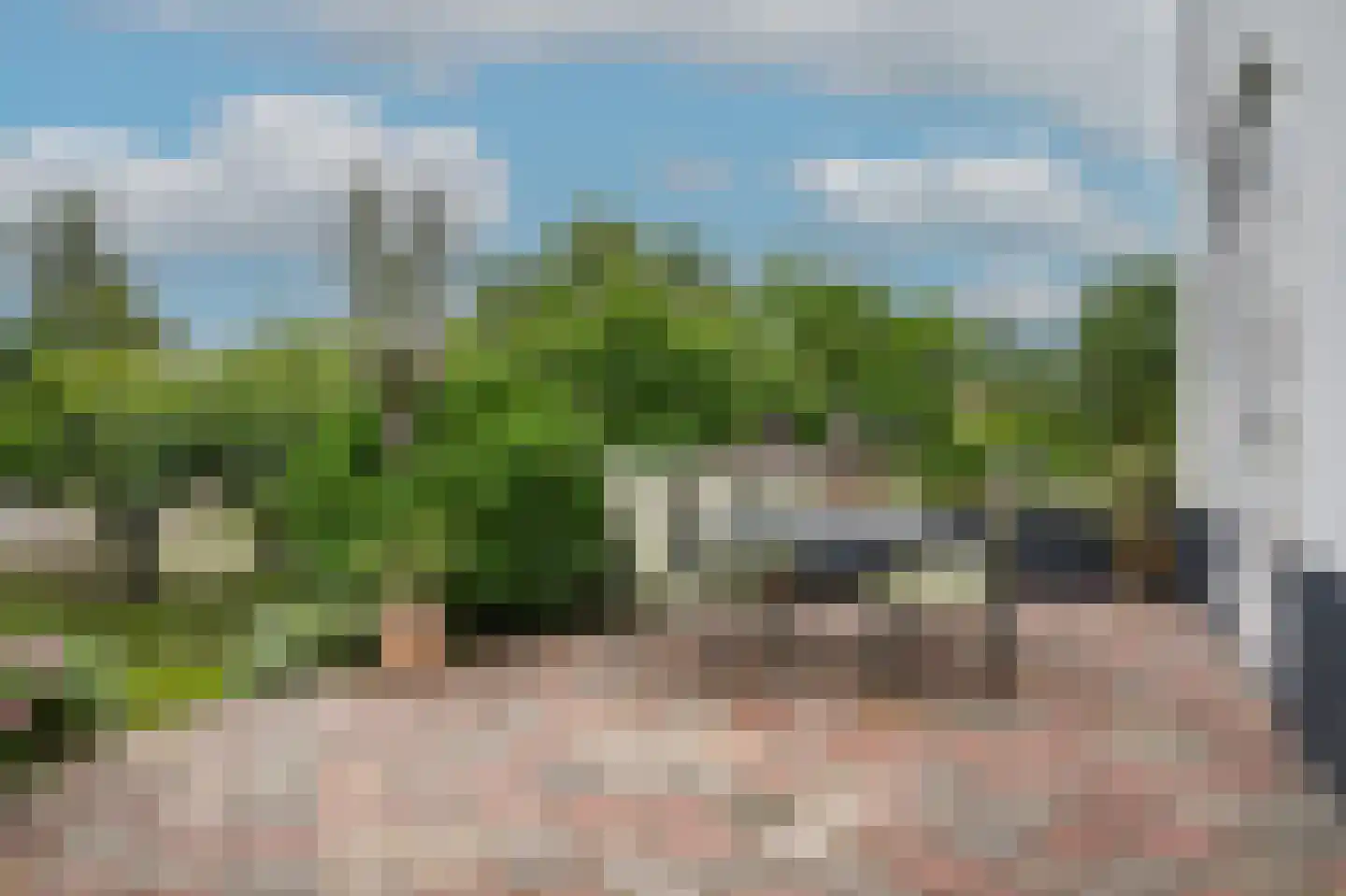 Maasdijk 42 Appeltern thumbnail 66