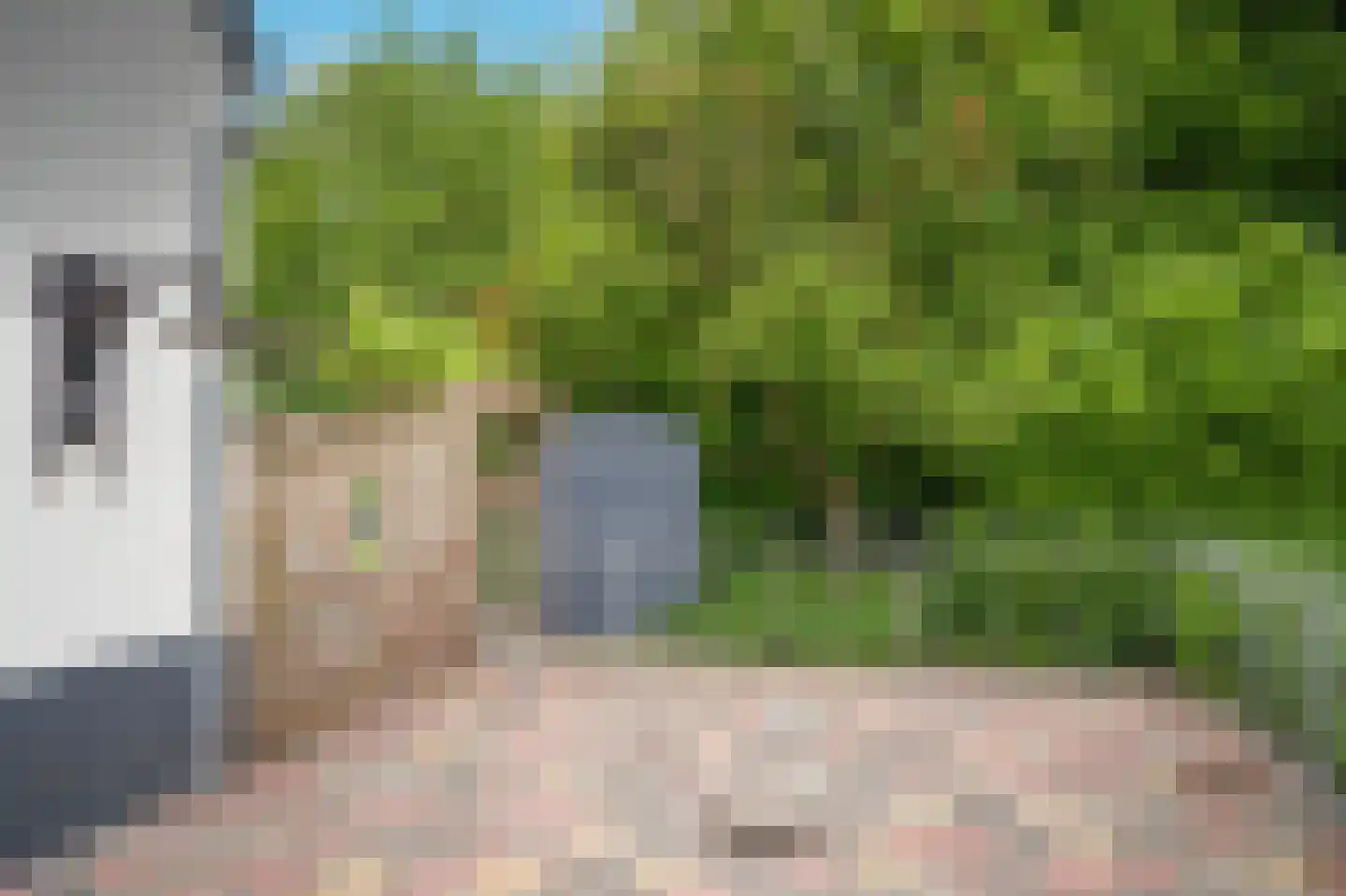 Maasdijk 42 Appeltern thumbnail 67