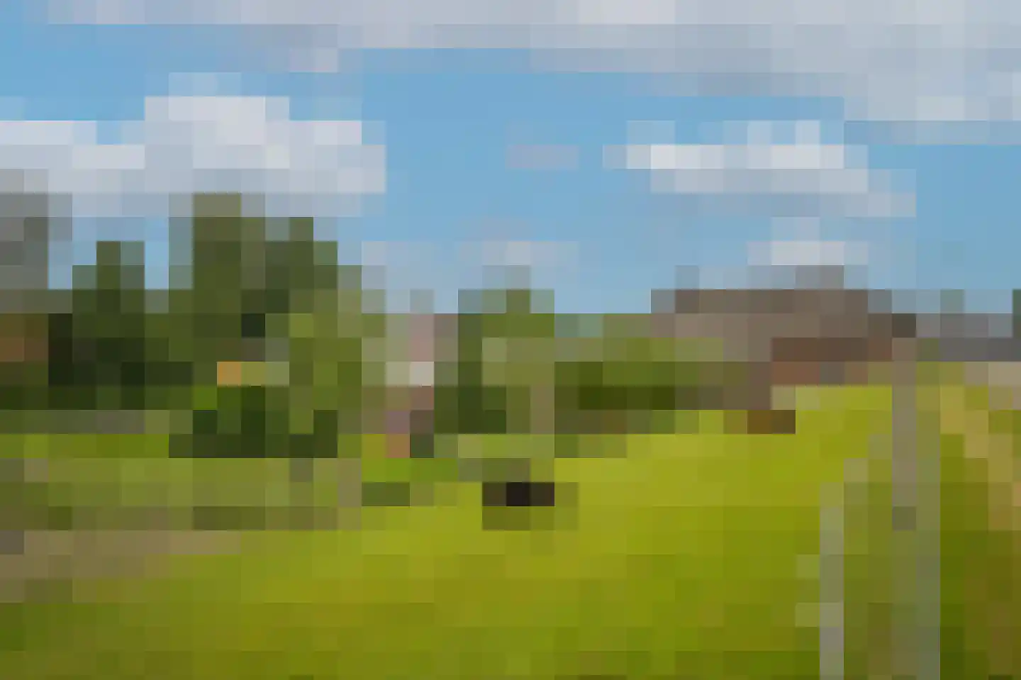 Maasdijk 42 Appeltern thumbnail 72
