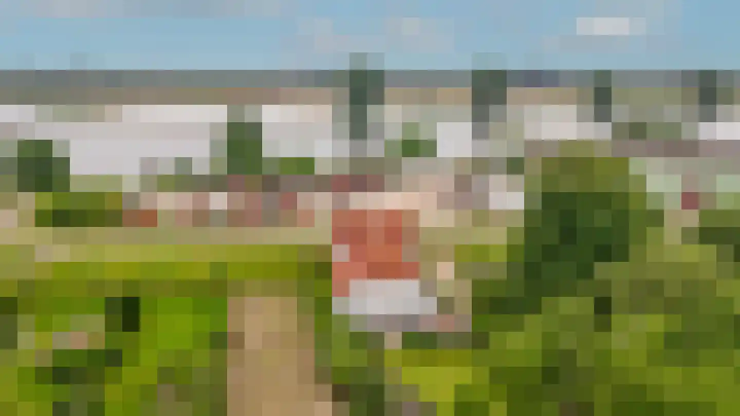 Maasdijk 42 Appeltern thumbnail 76