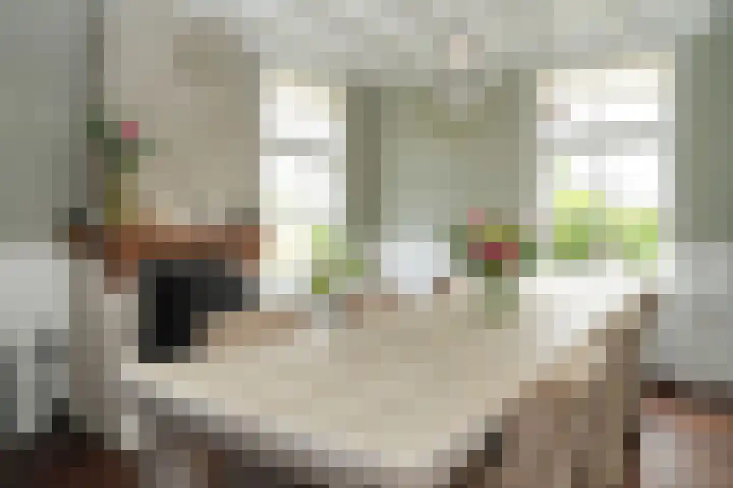 Maasdijk 42 Appeltern thumbnail 8