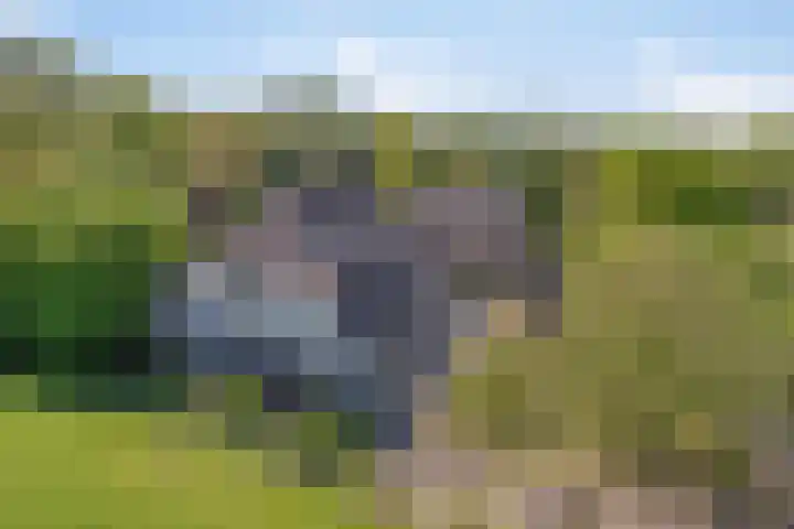 Maasdijk 5 Overlangel