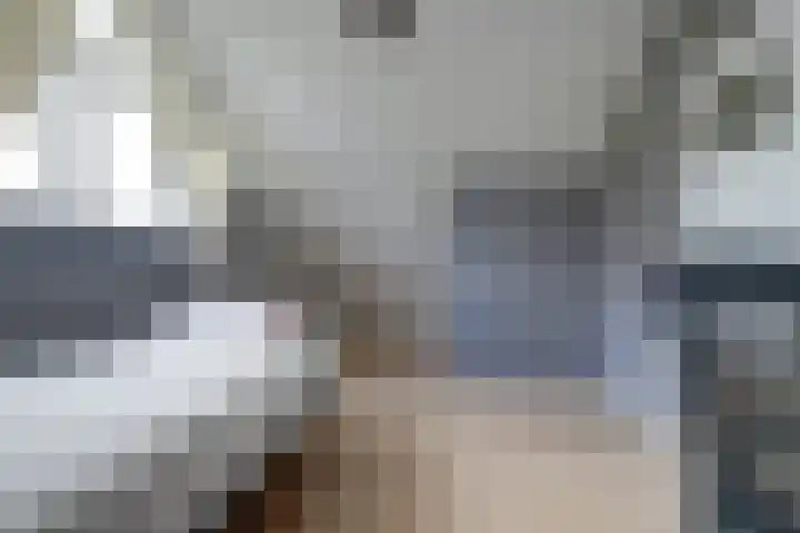 Maasdijk 53 B Maasdijk thumbnail 23