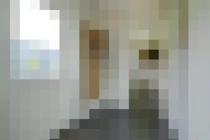 Maasdijk 53 B Maasdijk thumbnail 27