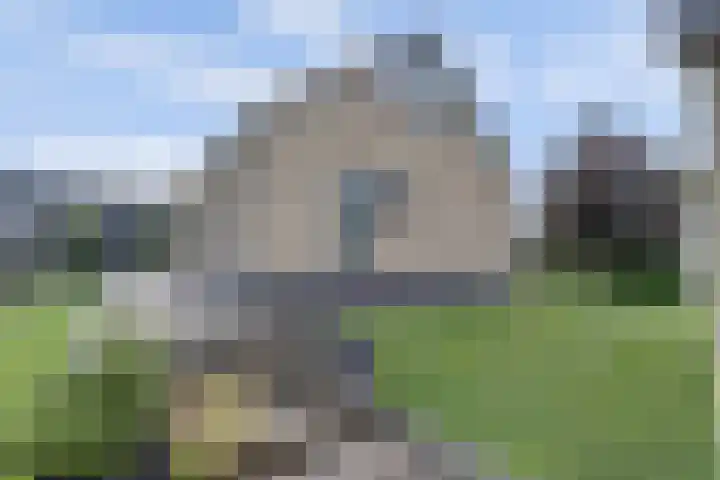 Maasdijk 53 B Maasdijk thumbnail 33