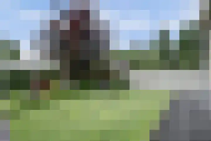 Maasdijk 53 B Maasdijk thumbnail 34