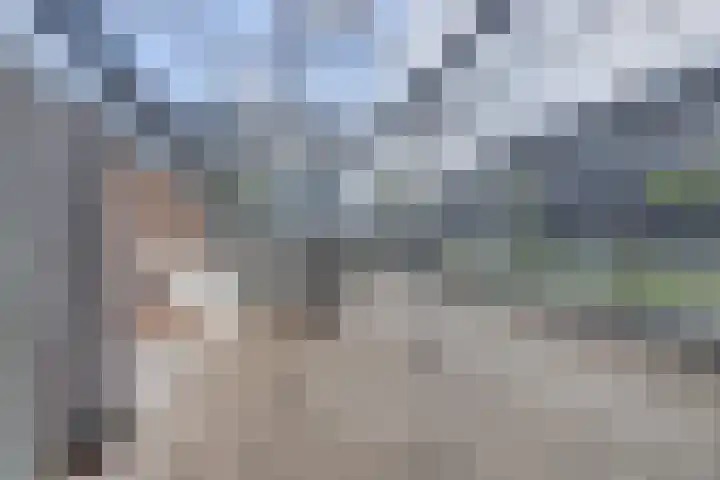 Maasdijk 53 B Maasdijk thumbnail 35