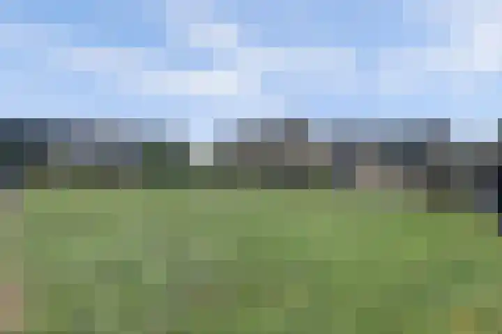 Maasdijk 53 B Maasdijk thumbnail 37