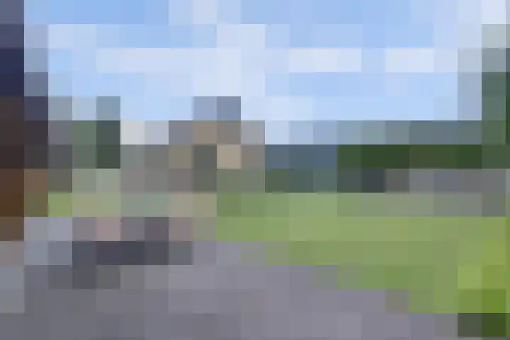 Maasdijk 53 B Maasdijk thumbnail 39