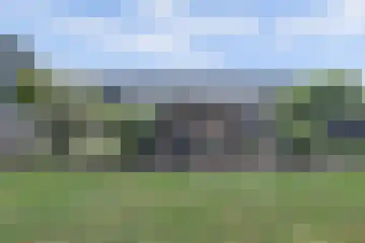 Maasdijk 53 B Maasdijk thumbnail 40