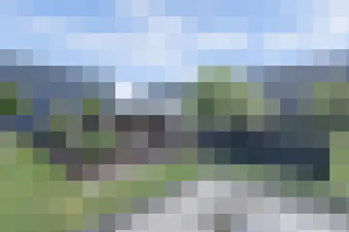 Maasdijk 53 B Maasdijk thumbnail 44