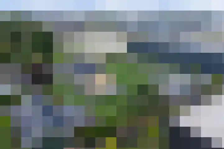 Maasdijk 53 B Maasdijk thumbnail 48