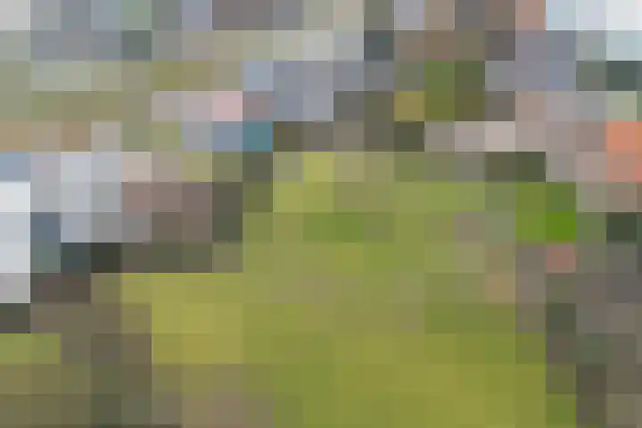 Maasdijk 58 Maasdijk thumbnail 10