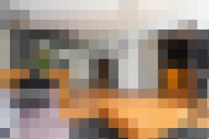 Maasdijk 58 Maasdijk thumbnail 13