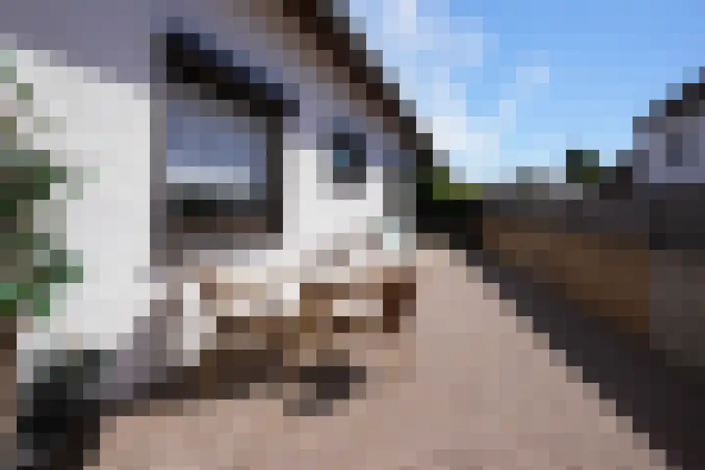Maasdijk 58 Maasdijk thumbnail 27
