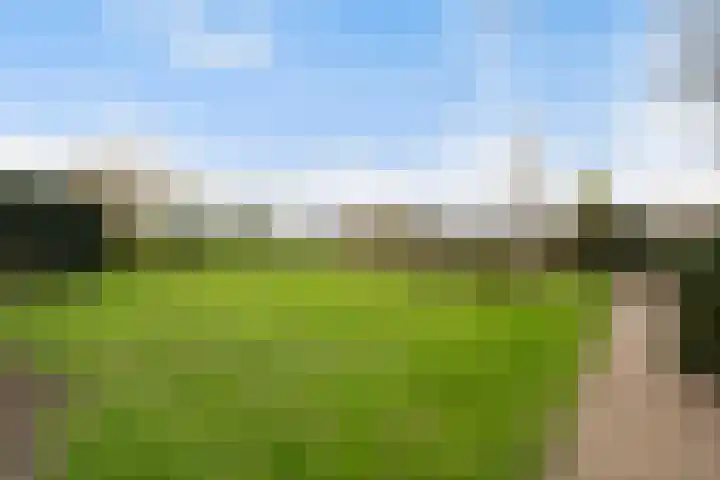 Maasdijk 58 Maasdijk thumbnail 37