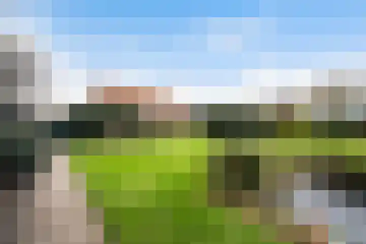 Maasdijk 58 Maasdijk thumbnail 38