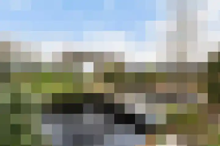 Maasdijk 58 Maasdijk thumbnail 39