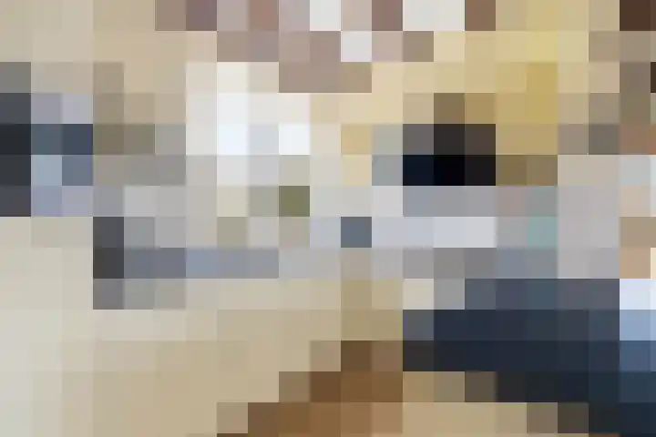Maasdijk 58 Maasdijk thumbnail 4