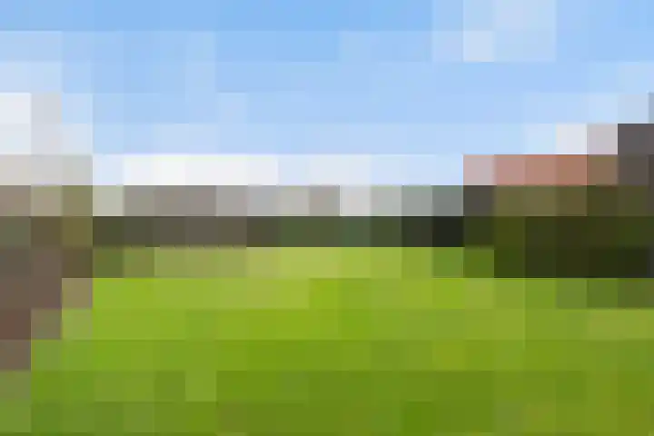 Maasdijk 58 Maasdijk thumbnail 40