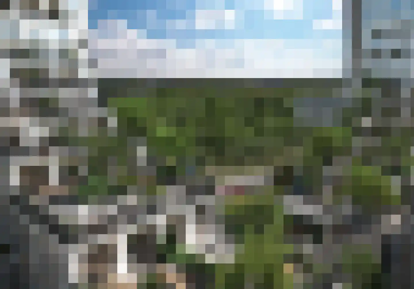 Maasdijk 58 Maasdijk thumbnail 45