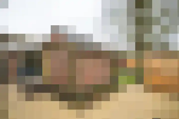 Maasdijk 58 Maasdijk thumbnail 47