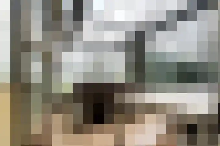 Maasdijk 58 Maasdijk thumbnail 48