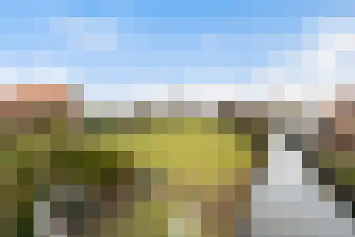 Maasdijk 58 Maasdijk thumbnail 6