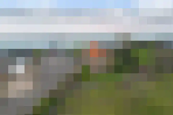 Maasdijk 58 Maasdijk thumbnail 8