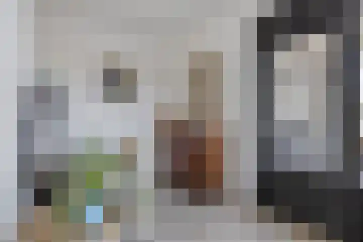 Maasdijk 58 Maasdijk thumbnail 9