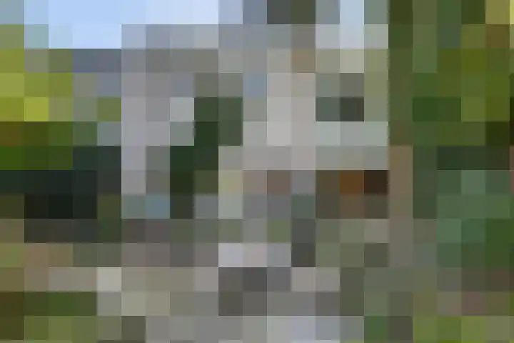 Maasdijk 8 Rossum thumbnail 10