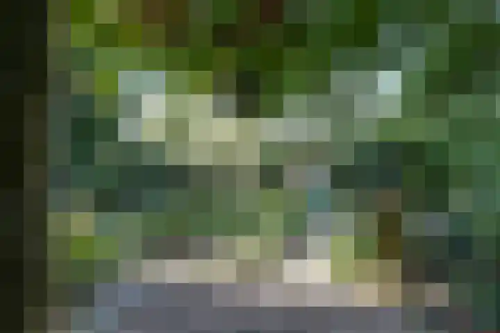 Maasdijk 8 Rossum thumbnail 12