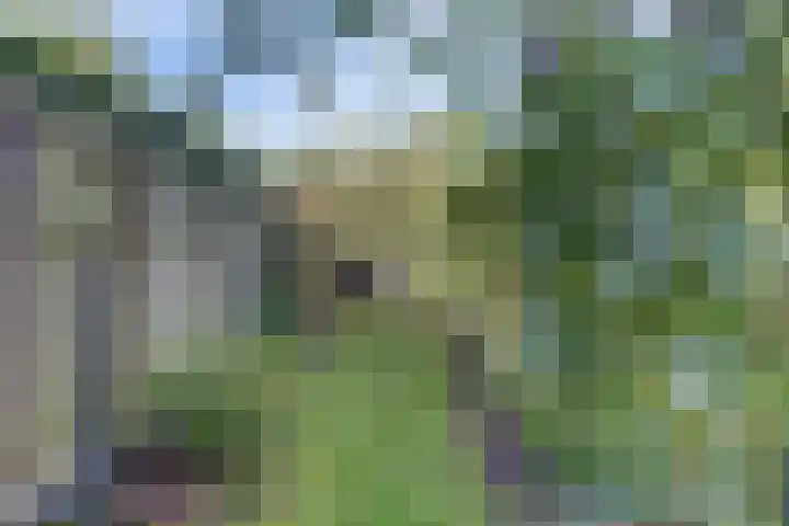 Maasdijk 8 Rossum thumbnail 15