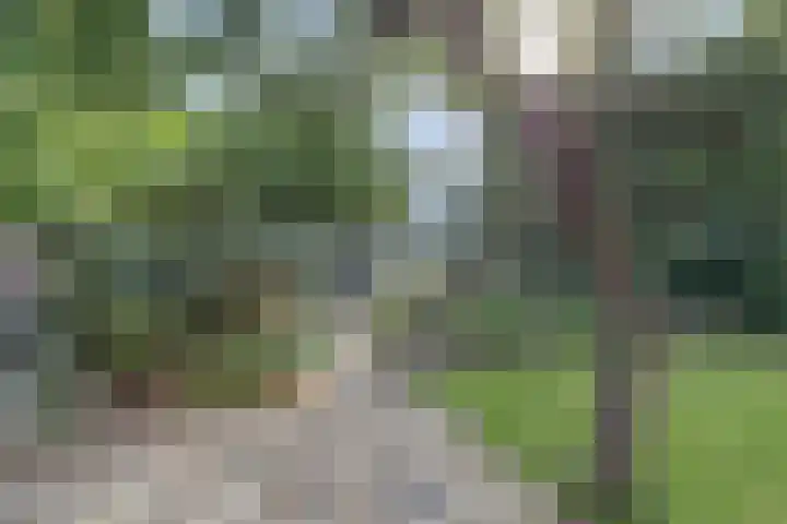 Maasdijk 8 Rossum thumbnail 17