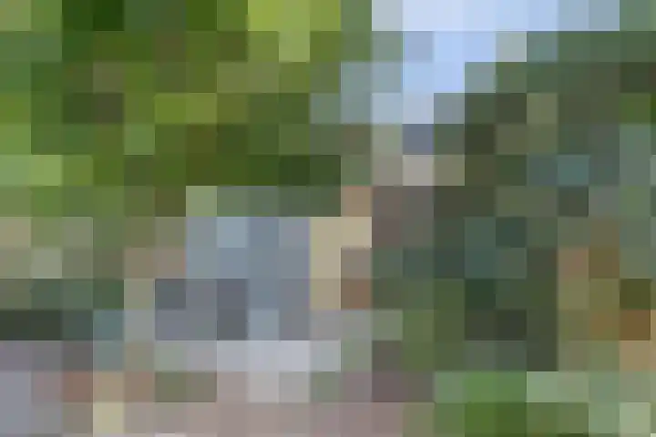 Maasdijk 8 Rossum thumbnail 18
