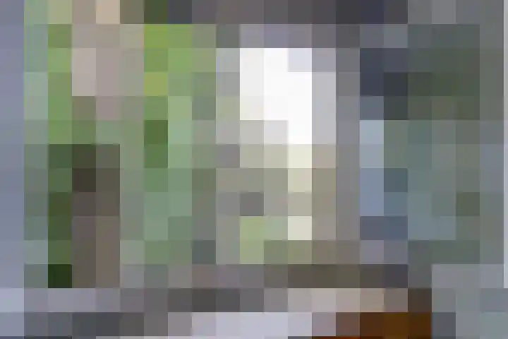 Maasdijk 8 Rossum thumbnail 35