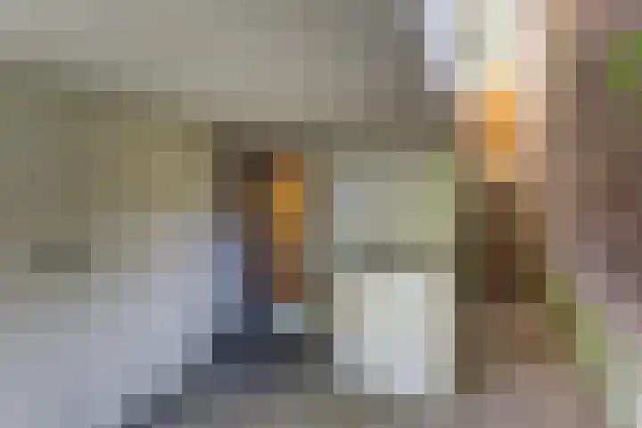 Maasdijk 8 Rossum thumbnail 40