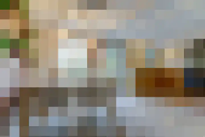 Maasdijk 8 Rossum thumbnail 41