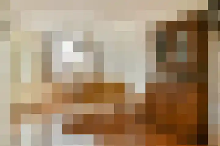 Maaseikstraat 16 Amsterdam thumbnail 10