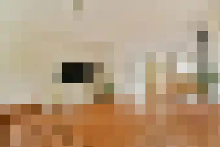 Maaseikstraat 16 Amsterdam thumbnail 9