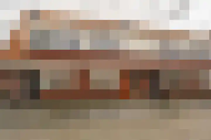 Maashofje 18 Maasdam