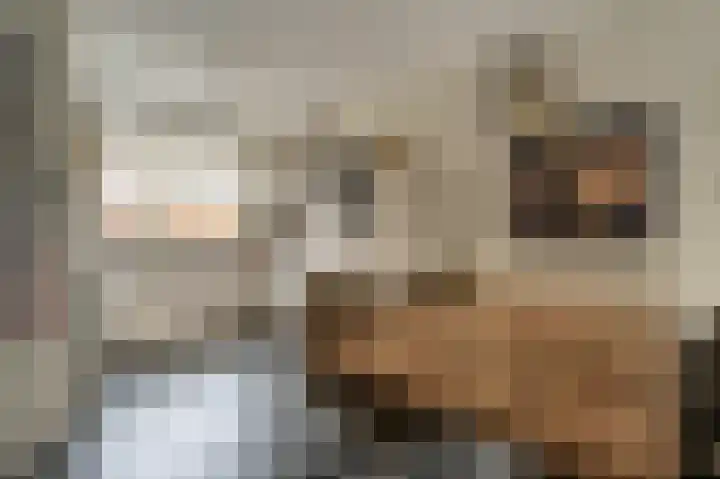 Maashofje 18 Maasdam thumbnail 10