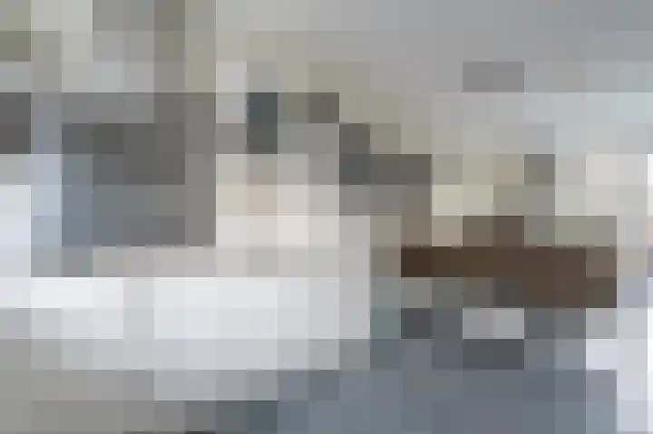Maashofje 18 Maasdam thumbnail 13