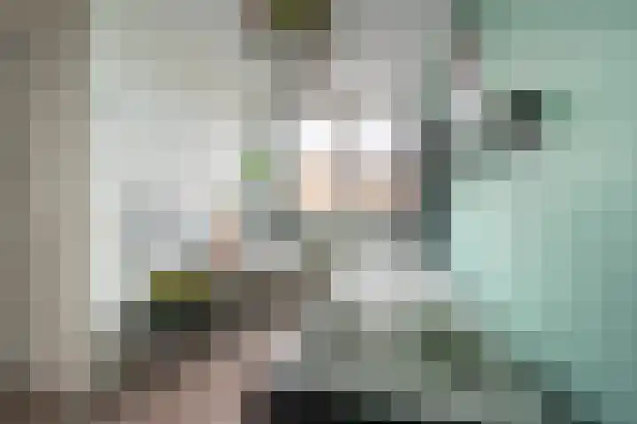 Maashofje 18 Maasdam thumbnail 22