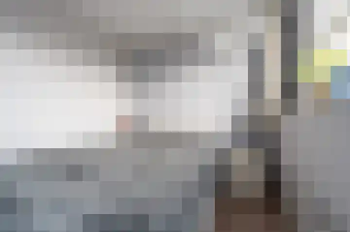 Maashofje 18 Maasdam thumbnail 25