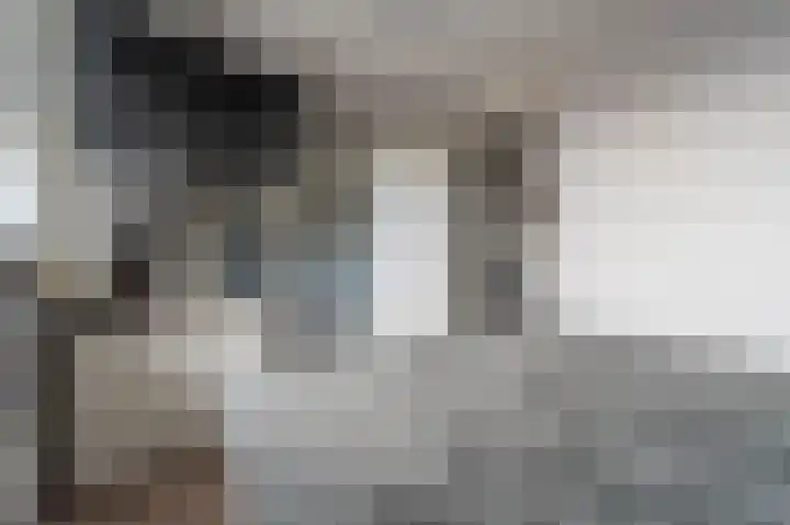 Maashofje 18 Maasdam thumbnail 26