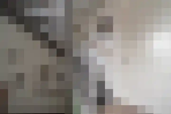 Maashofje 18 Maasdam thumbnail 28