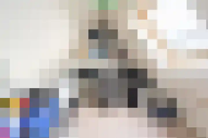 Maashofje 18 Maasdam thumbnail 29