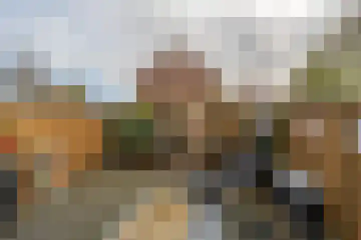 Maashofje 18 Maasdam thumbnail 32